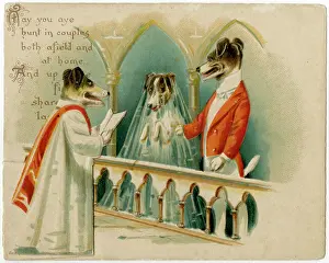 Doubtless: DOGS GET MARRIED