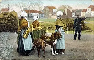 Milkmaids: DOGS AND MILK CART
