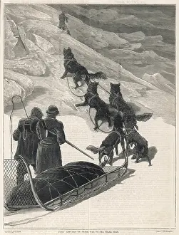 Nares: DOGS TO NORTH POLE