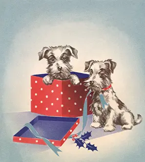 Pres: Dogs Open Present