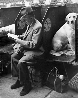 Vacuum: Dogs and owner at a dog show