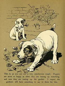 Tearing: DOGS PLAYING IN THE GARDEN