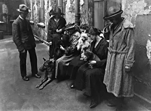 Euthanasia: Dogs prior to euthanasia, 1923