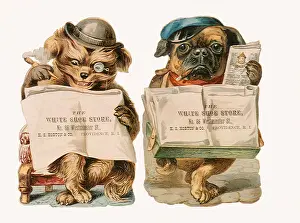 Canines: Two Dogs read Newspapers