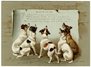 Trespass: DOGS READING NOTICE