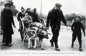Snows: DOGS AND REFUGEES 2