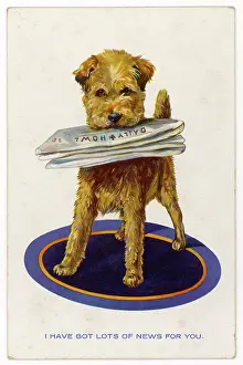 Retrieve: DOGS RETRIEVES NEWSPAPER