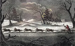 Kamtschatka: DOGS IN SIBERIA