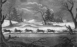 Kamtschatka: DOGS IN SIBERIA