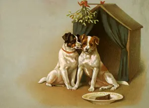 Doghouse: Dogs Sit By Doghouse
