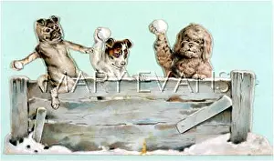 Unsuspecting: DOGS SNOWBALLING
