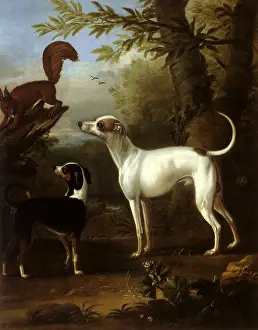 Wootton: Two Dogs and a Squirrel