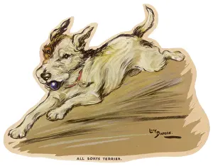 Retrieves: Dogs, Terrier, Dawson