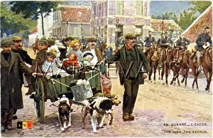 Snows: DOGS AND WAR REFUGEES