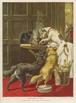 Unaware: DOGS AND XMAS PUDDING