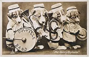 Dogville: THE DOGVILLE BAND