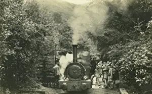 Cardigan: Dolgoch Station