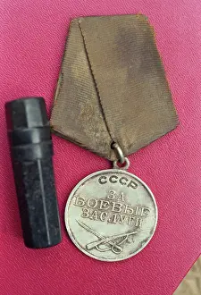 Merit: Dolina WWII remains search team