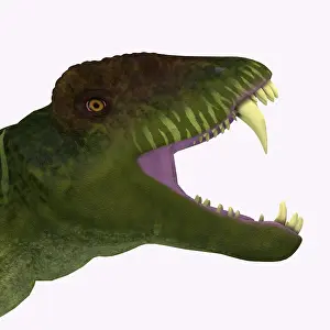 Synapsid: Doliosauriscus dinosaur head