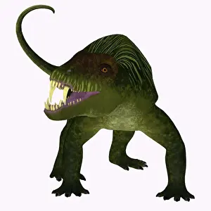 Synapsid: Doliosauriscus dinosaur, front view
