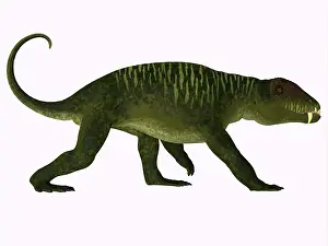 Synapsid: Doliosauriscus dinosaur, side view