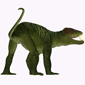 Synapsid: Doliosauriscus dinosaur on white background