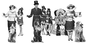 Collies: The Dollies and the Collies