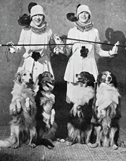 Collies: The Dolly Sisters with their Collies