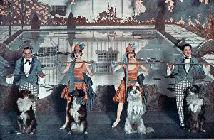 Synchronised: The Dolly Sisters in the Dollies and the Collies