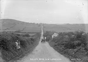 Hedge: Dolly's Brae, Castlewellan