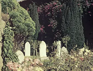 Anne Burton: Dolores Mission - California