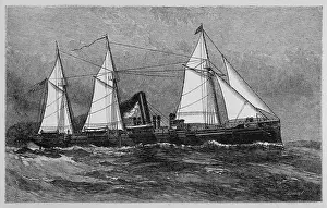 Despatch: Dolphin Steamer