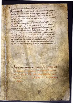 Surveys: The Domesday Book