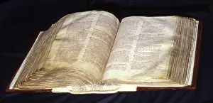 The Domesday Book