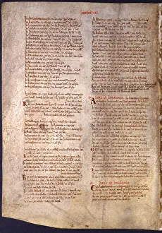 Surveys: The Domesday Book, Leicestershire