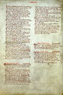 Surveys: The Domesday Book, Shropshire