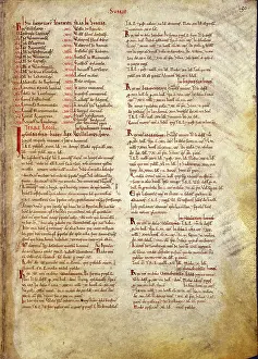 Surveys: The Domesday Book, Surrey