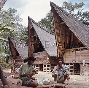 Batak: DOMESTIC BUILDING ASIA