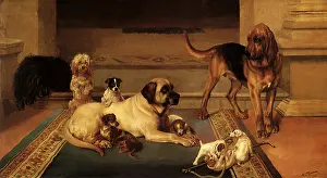 Bloodhounds: Domestic Scene