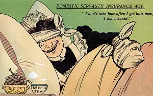 Housemaids: Domestic Servants Insurance Act - Comic Postcard