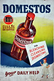 Cleaner: Domestos