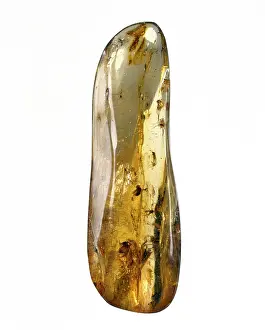 Resin: Dominican copal