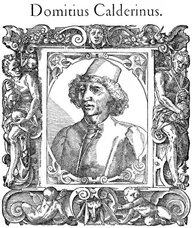 1478: DOMIZIO CALDERINI