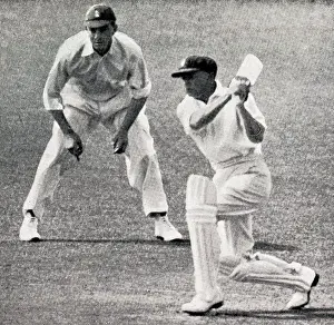 Perth: Don Bradman batting at Perth, Hammond in slips