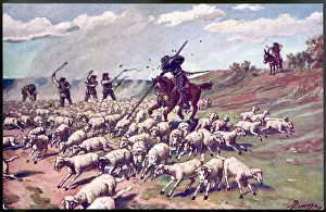 Encountering: Don Quixote and the sheep