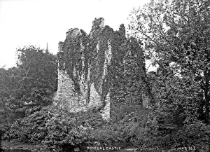 Undergrowth: Donegal Castle