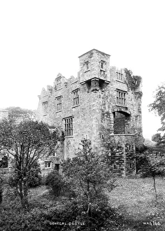 Undergrowth: Donegal Castle