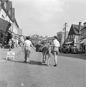 Ongar: Donkey