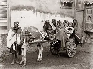 Donkey and cart with passengers, Cairo, Egypt, circa 1890
