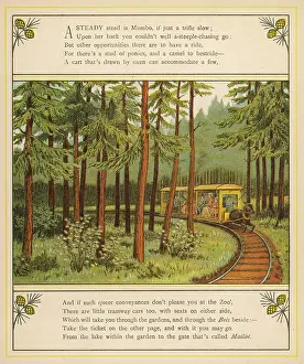Acclimatation: Donkey-Drawn Train